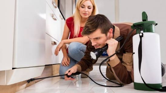 Pest Control in Meriden