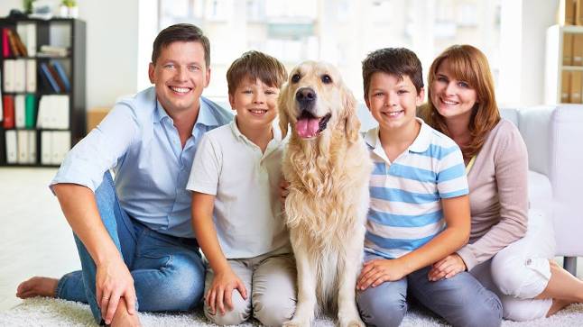 Pest Control in Meriden